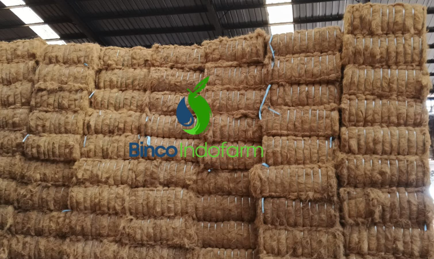 Coconut Fiber